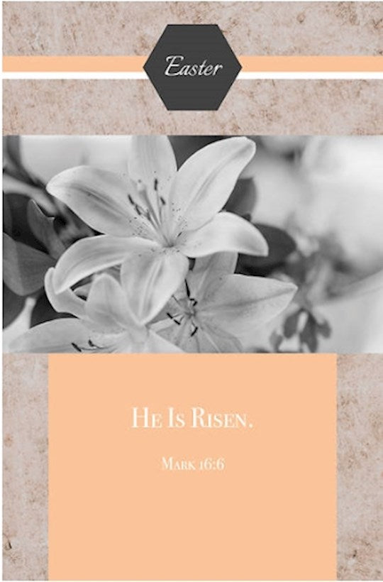 Bulletin-He Is Risen! (Mark 16:6 KJV) (Easter) (Pack Of 100) (Pkg-100)
