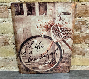 Life is a Beautiful Ride Metal Print