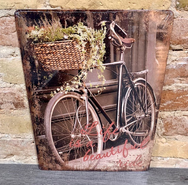 Life is a Beautiful Ride Metal Print